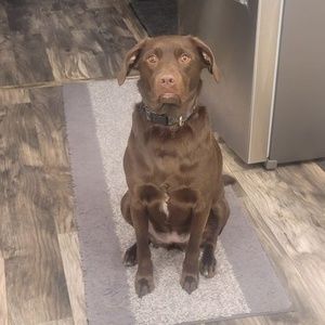 Meet your Posher, Andrew